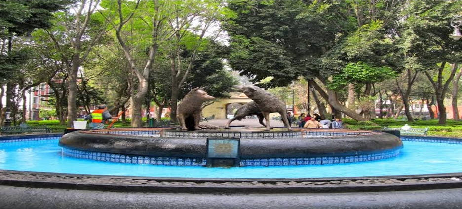 Vecinos denuncian presuntas violaciones al uso de suelo en zona patrimonial de Coyoacán